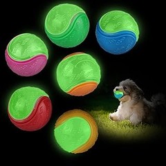 La edad ideal para empezar a jugar con pelotas con tu perro