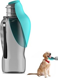 Alternativas eficaces a los bebederos portátiles para perros