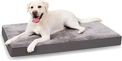 Descubre las mejores alternativas a las camas desenfundables para perros