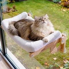 Mejores alternativas a las camas para gatos en la ventana