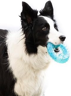 Descubre Alternativas Caseras y Naturales a los Mordedores para Perros