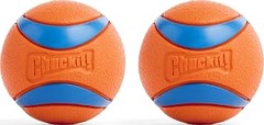 Descubre los beneficios de jugar con pelotas para perros