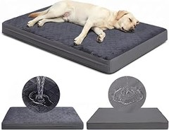 Ventajas de utilizar camas lavables para perros con alergias