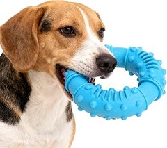 Cómo los Juguetes para Masticadores Fuertes Mejoran el Comportamiento de tu Perro