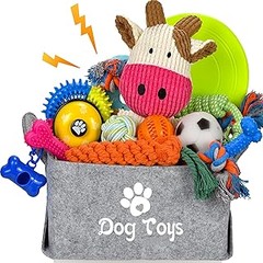 ¿Cuáles son los beneficios de los juguetes para perros en pack?