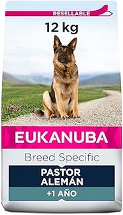 Descubre los beneficios del pienso específico para perros activos