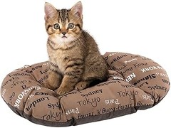 ¿Qué colchonetas son ideales para gatos mayores?