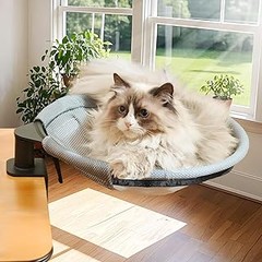 Cuidado de camas para gatos durante el invierno
