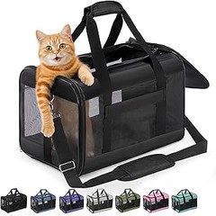 Guía para elegir el mejor transportín plegable para perros y gatos