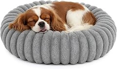 Guía para seleccionar la mejor cama tipo dona para tu gato