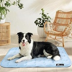 Guía para elegir la cama refrescante ideal para tu gato