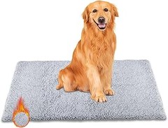 Guía para Elegir una Cama Térmica Ideal para tu Gato