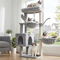 Estrategias para enseñar a tu gato a usar su árbol rascador