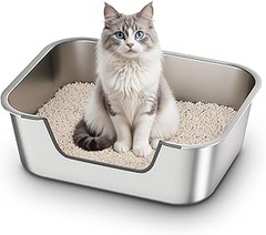 Guía para enseñar a tu gatito a usar el arenero