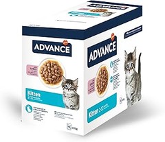 ¿Cuándo y cómo incorporar comida húmeda a la dieta de un gatito?