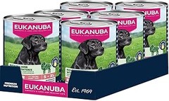 Guía para Introducir Comida Húmeda en la Dieta de Perros Senior