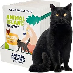 Guía para introducir comida húmeda sin cereales en la dieta de tu gato