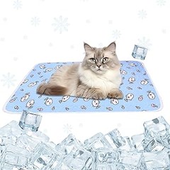 Preparando a tu gato para viajar: consejos con cama de viaje