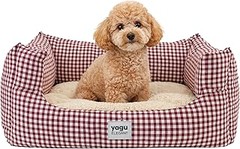 Camas Lavables o Camas de Espuma para Perros: ¿Cuál Elegir?