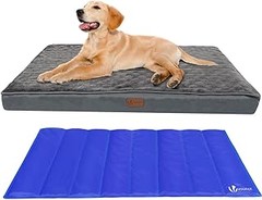 Camas Refrescantes vs Camas Tradicionales para Perros: ¿Cuál Elegir?