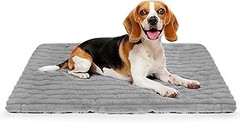 Comparativa de las mejores camas térmicas para perros