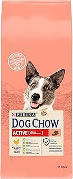 Pienso seco vs. húmedo para perros activos: ¿cuál elegir?