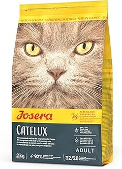 ¿Cuál es mejor para gatos exigentes: pienso seco o húmedo?