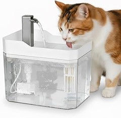 Diferencias entre fuentes de agua de plástico y acero inoxidable para mascotas