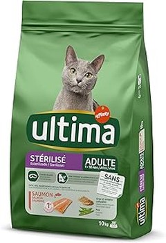 Pienso seco o húmedo para gatos esterilizados: ¿Cuál es mejor?