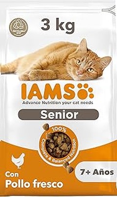 Pienso Seco o Húmedo para Gatos Senior: ¿Cuál es Mejor?