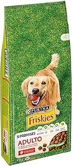 ¿Pienso seco o húmedo para perros medianos? Ventajas y desventajas