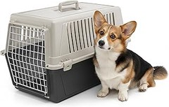 Transportines Rígidos y Blandos: ¿Cuál es el Mejor para Tu Mascota?