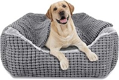 Cómo elegir la cama rectangular perfecta para tu perro