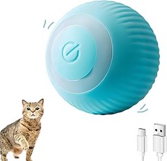 Cómo mantener las pelotas de gatos limpias e higiénicas