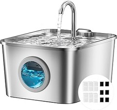 Señales de que es hora de cambiar la fuente de agua de tu mascota