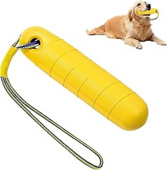 Cómo Cuidar y Mantener los Juguetes Flotantes para Perros