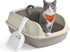 Conoce las diferencias entre los tipos de arena para areneros de gatos