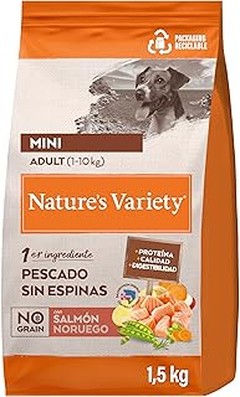 Errores comunes al cambiar el pienso de tu perro de interior