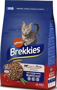 Problemas Frecuentes al Alimentar a Gatos de Interior
