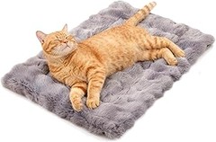 ** Errores que debes evitar al elegir camas térmicas para gatos