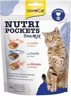 Errores que debes evitar al ofrecer snacks a gatos senior