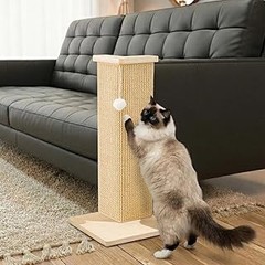 Problemas frecuentes al utilizar rascadores de esquina para gatos