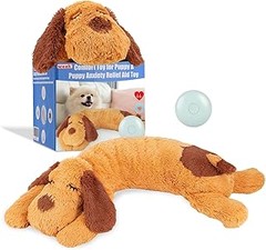 ¿Cómo elegir el mejor peluche para tu perro?