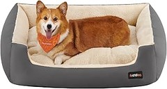 Cómo elegir la cama perfecta para tu cachorro