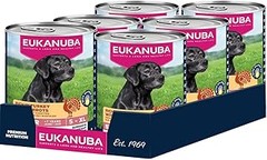 ¿Cómo saber si tu perro senior necesita comida húmeda?