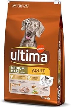 Ingredientes Nocivos que Debes Evitar en el Pienso para Perros de Pollo