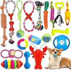 Seguridad de los packs de juguetes para perros: ¿Qué debes saber?