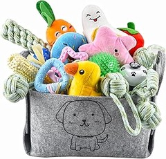 Los mejores juguetes seguros para perros medianos