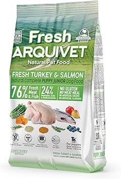 ¿Qué tipo de comida húmeda es mejor para perros mayores?