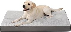 Comparativa de las mejores camas impermeables para perros grandes